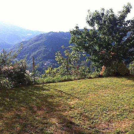 Ospitaci Appartamenti Di Campagna Le Rancole Valtopina Kültér fotó